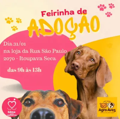 Feirinha de Adoção Pet em Blumenau