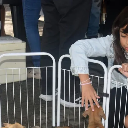 Feira Municipal de Adoção - Um Novo Lar para Amigos de Quatro Patas