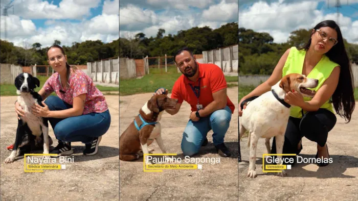 Participe do evento de adoção animal em Itapeva neste sábado e transforme a vida de um pet!