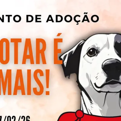 Evento de Adoção: Adotar é Demais!