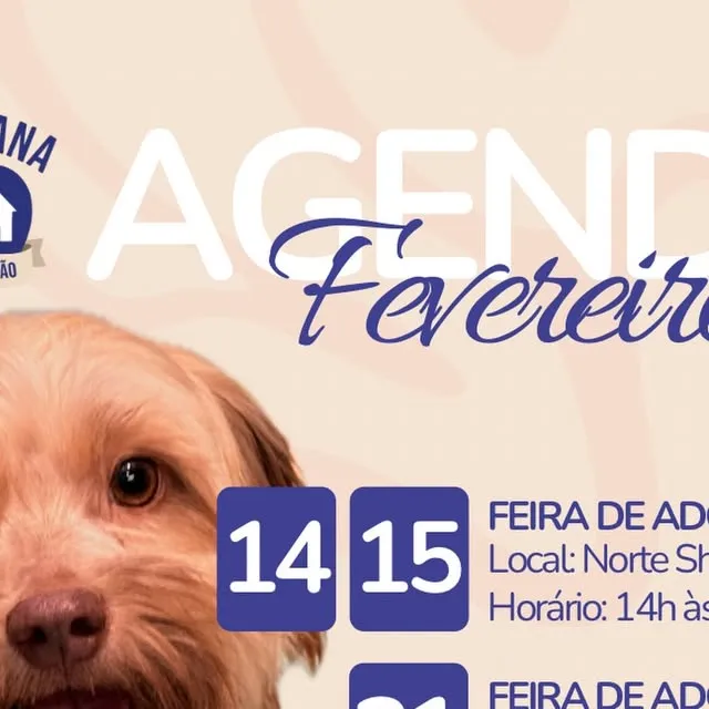 Feira de Adoção de Animais - Lar Silvana