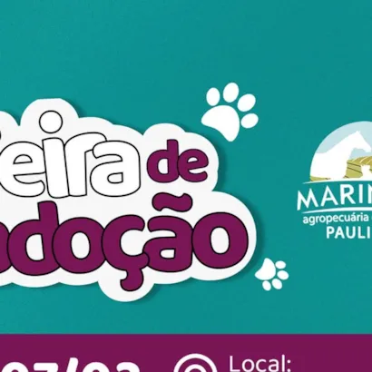 Feira de Adoção de Animais