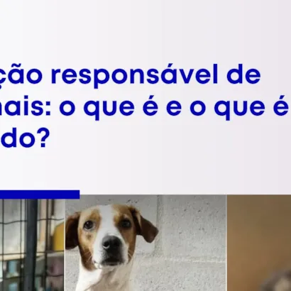 Adoção Responsável de Animais