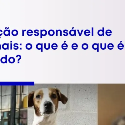 Adoção Responsável de Animais