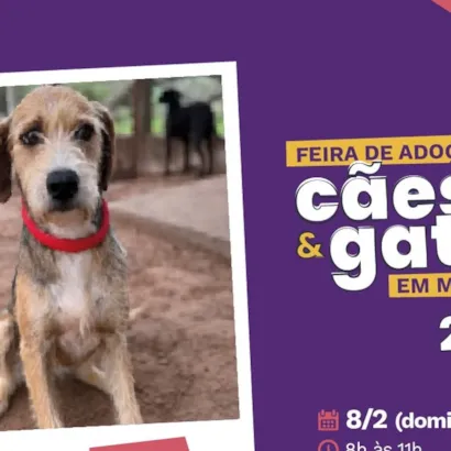 Feira de Adoção de Cães e Gatos em Marília
