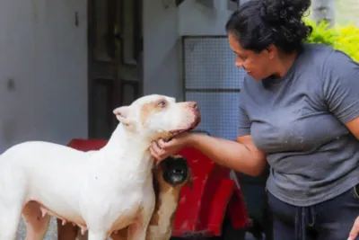 Dia de Adoção de Animais em Jundiaí
