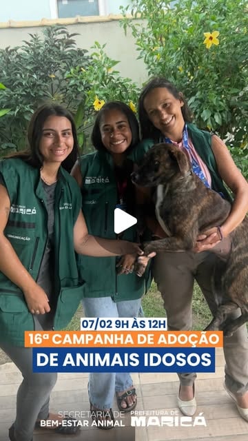 16ª Campanha de Adoção de Animais Idosos