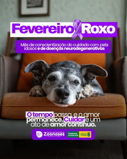 Fevereiro Roxo Pet: Cuidados com Animais Idosos