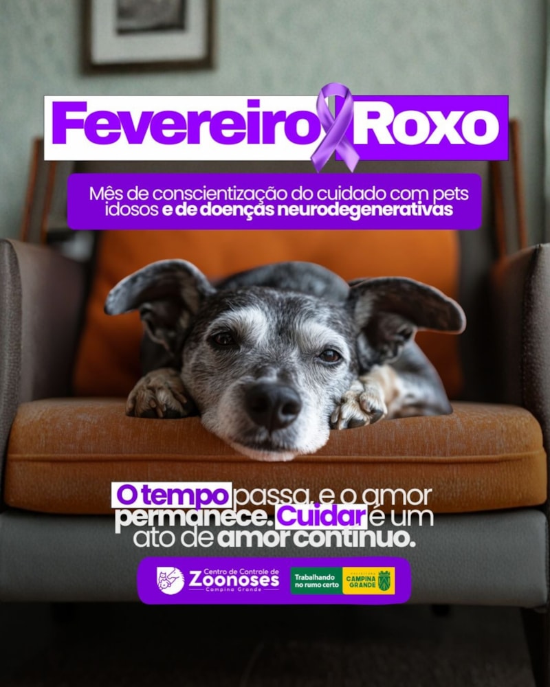 Fevereiro Roxo Pet: Cuidados com Animais Idosos