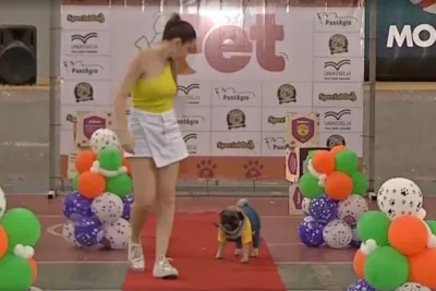 4ª Edição do Show Pet: Feira de Adoção e Desfile em Corumbá