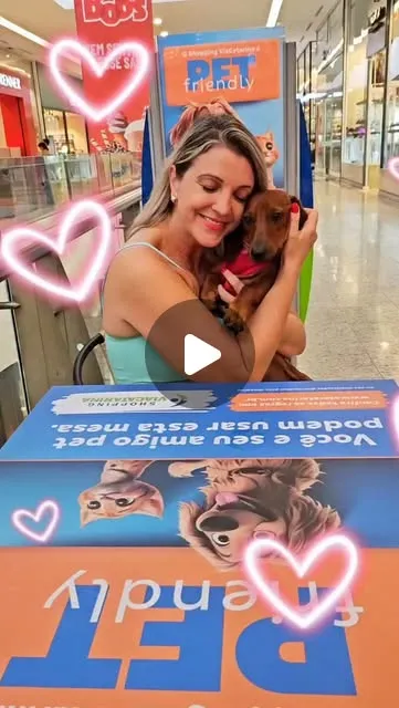 Feira de Adoção de Animais