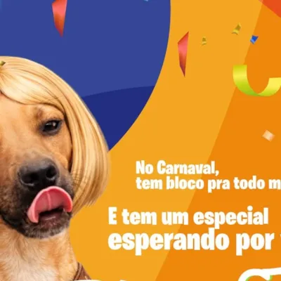 Adoção de Animais Especial de Carnaval
