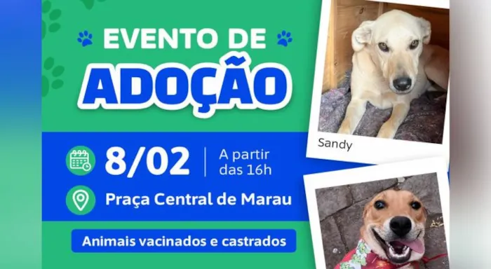 Tarde de Adoção - Patas Protetoras