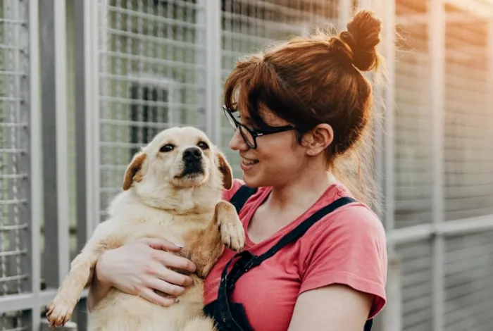 Montes Claros Terá Feiras Mensais de Adoção de Animais