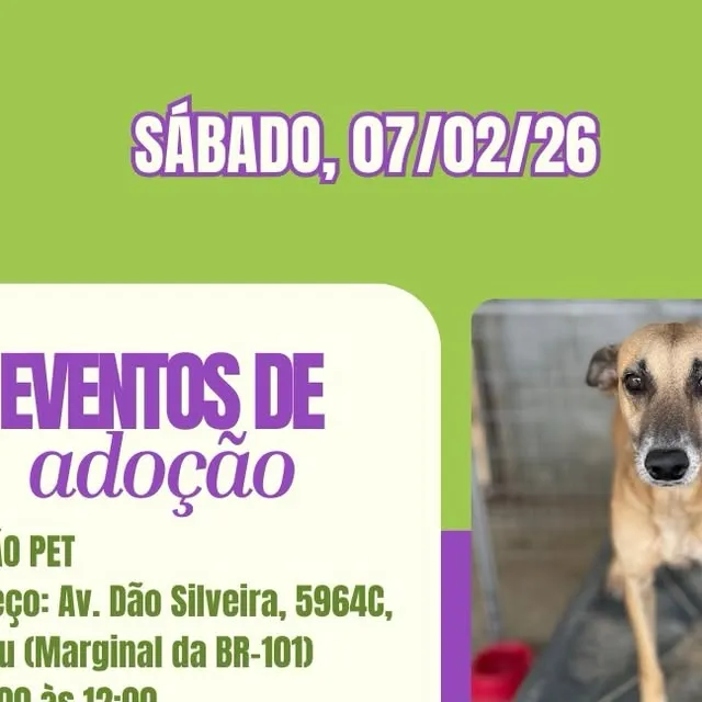 Evento de Adoção ASPAN