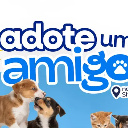 Campanha de Adoção no Jaú Shopping com a APAJA