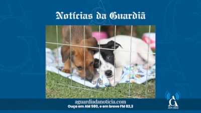 Baby, me Leva!: Evento de Adoção de Pets em Suzano