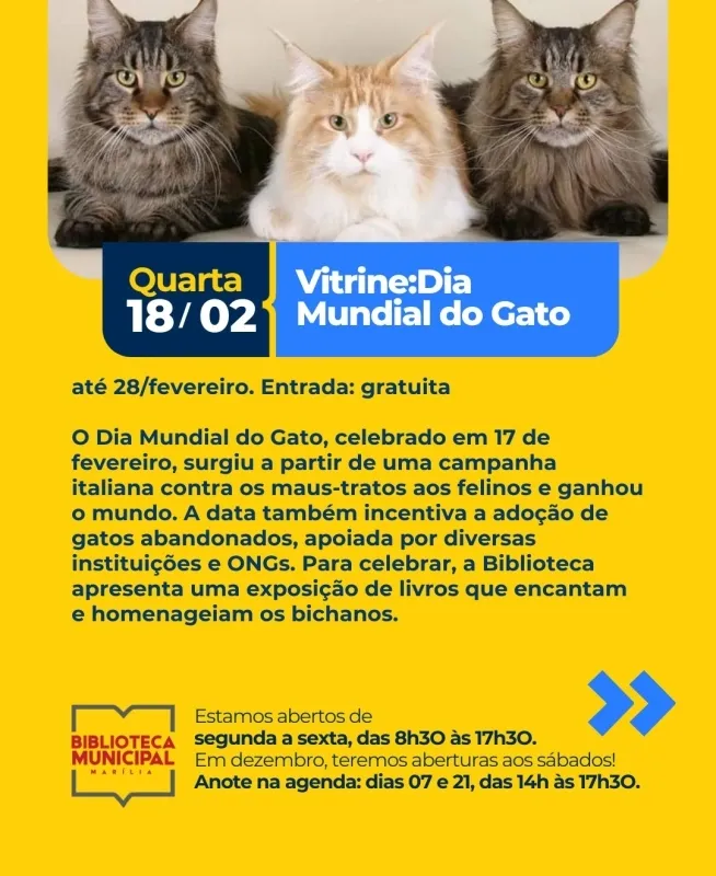 Exposição em Honra ao Dia Mundial do Gato