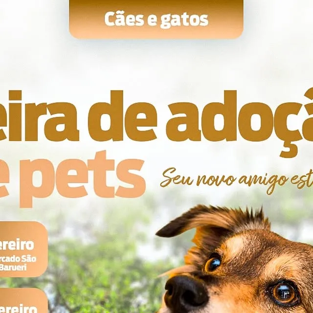 Feira de Adoção de Pets