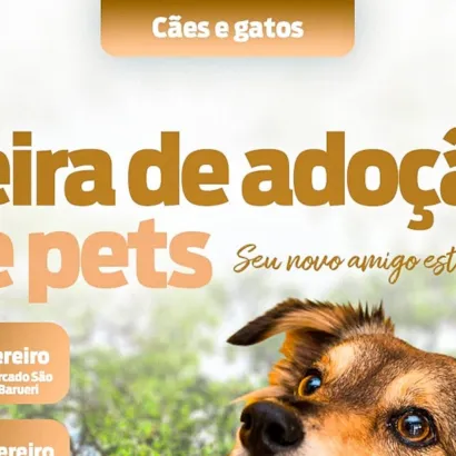Feira de Adoção de Pets