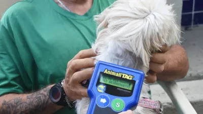 Pet PG Chip Retorna com Microchipagem em Praia Grande
