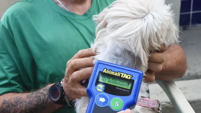 Pet PG Chip Retorna com Microchipagem em Praia Grande