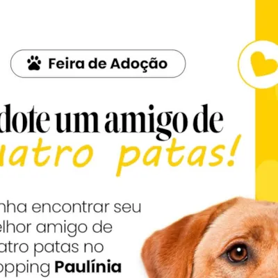 Feira de Adoção de Cães e Gatos no Paulínia Winner Mall