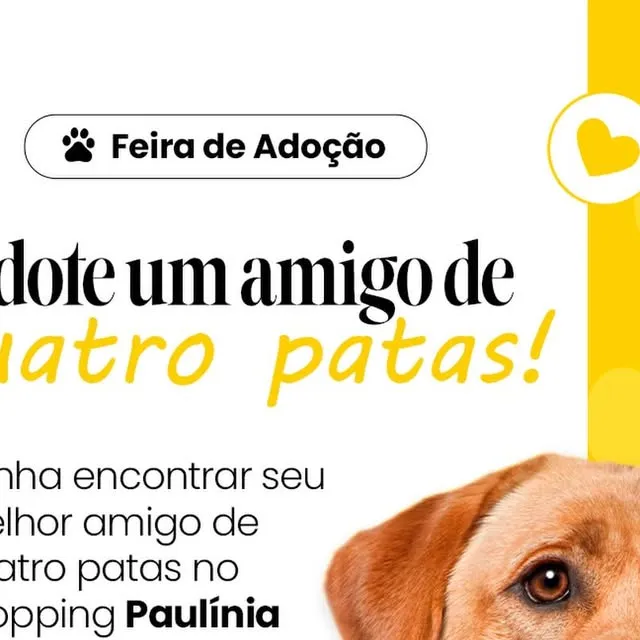 Feira de Adoção de Cães e Gatos no Paulínia Winner Mall