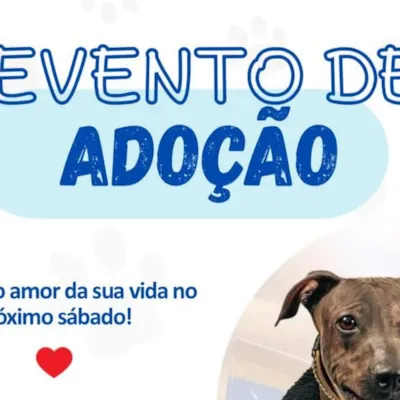 Evento de Adoção: Encontre o Amor da Sua Vida!