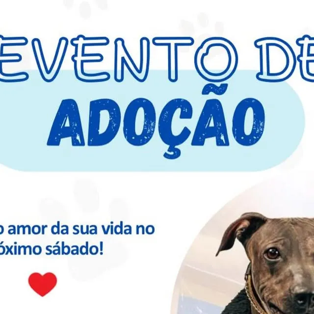 Evento de Adoção: Encontre o Amor da Sua Vida!