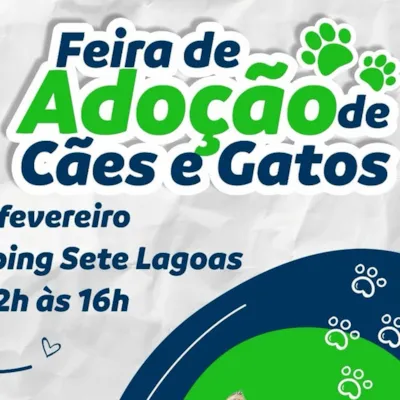 Feira de Adoção de Cães e Gatos