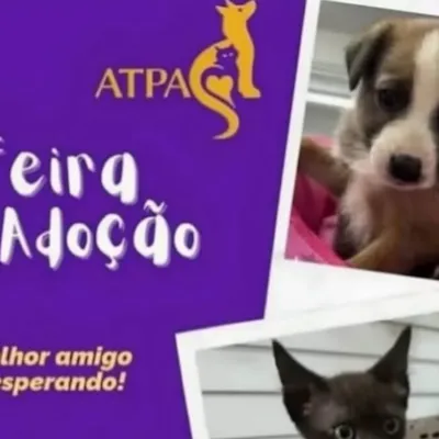 Feira de Adoção ATPA - Seu melhor amigo está esperando!