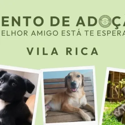 Evento de Adoção: Seu Melhor Amigo Está te Esperando!