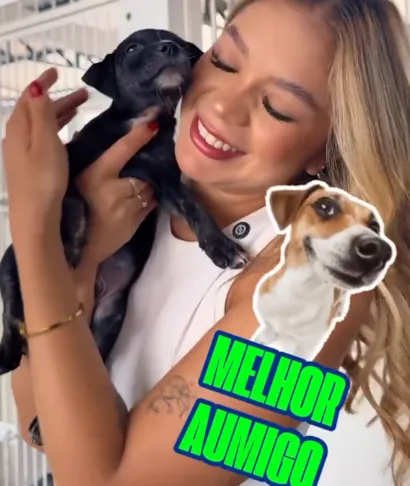 Feira de Adoção de Cães no Parque da Cidade