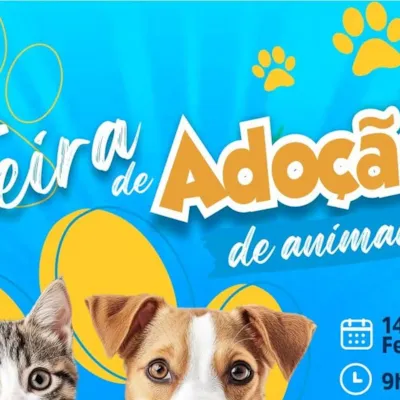 Feira de Adoção de Animais em Miguel Pereira
