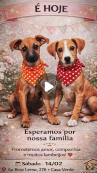 Evento de Adoção Toca dos Peludos