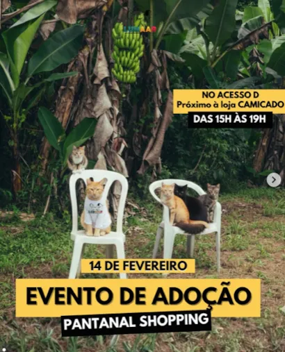 Evento de Adoção Responsável em Cuiabá