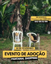 Evento de Adoção Responsável em Cuiabá