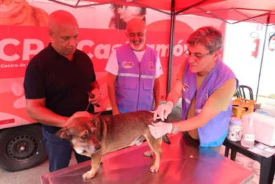 AME Adoções: Encontre seu novo amigo!