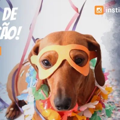 Feira de Adoção Du Cão no Carnaval!