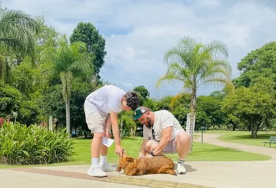 Fevereiro Roxo: Adoção Responsável de Animais Idosos