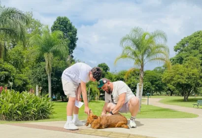 Fevereiro Roxo: Adoção Responsável de Animais Idosos