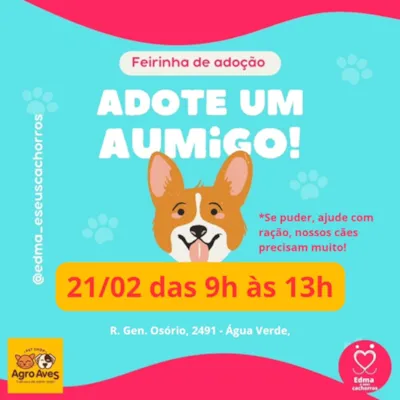 Feirinha de Adoção: Adote um "aumigo" neste sábado em Blumenau!