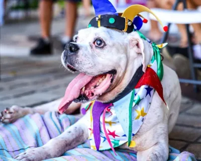 Carna Pet 2026: Celebração de Adoção e Afeto Animal