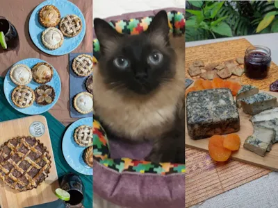 Feira Vegana JMA Edição MIAU