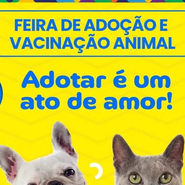 Feira de Adoção e Vacinação Animal