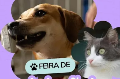 Feira de Adoção: Encontre um Novo Lar para Cães e Gatos