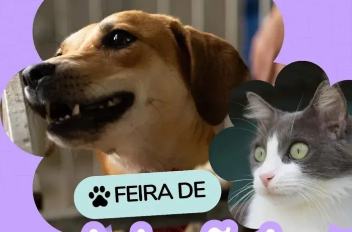 Feira de Adoção: Encontre um Novo Lar para Cães e Gatos