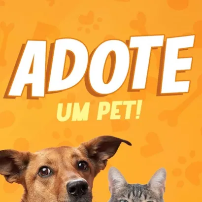 Adote um Pet!