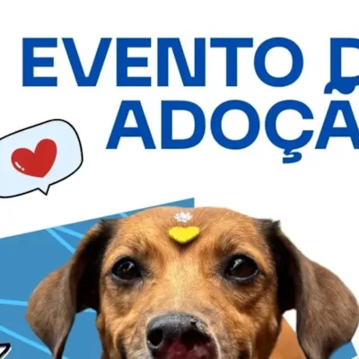 Evento de Adoção de Animais